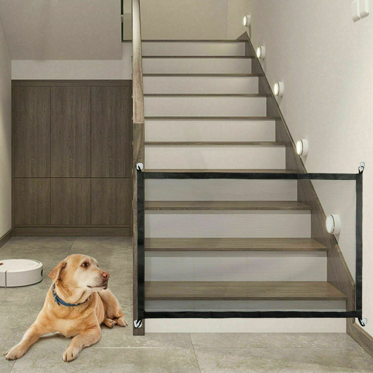 a dog lying on the floor next to stairs
