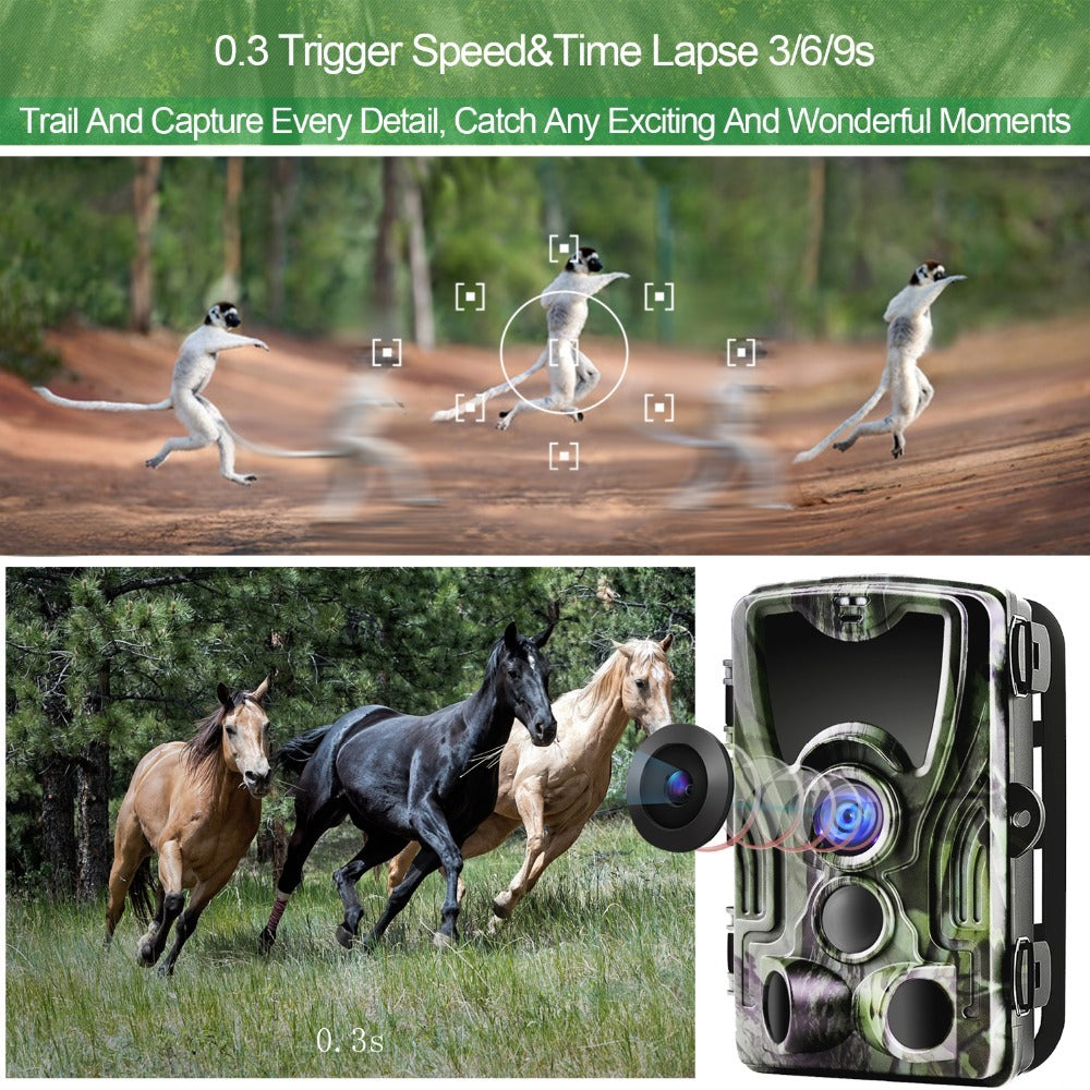 a collage of a camera and a picture of horses