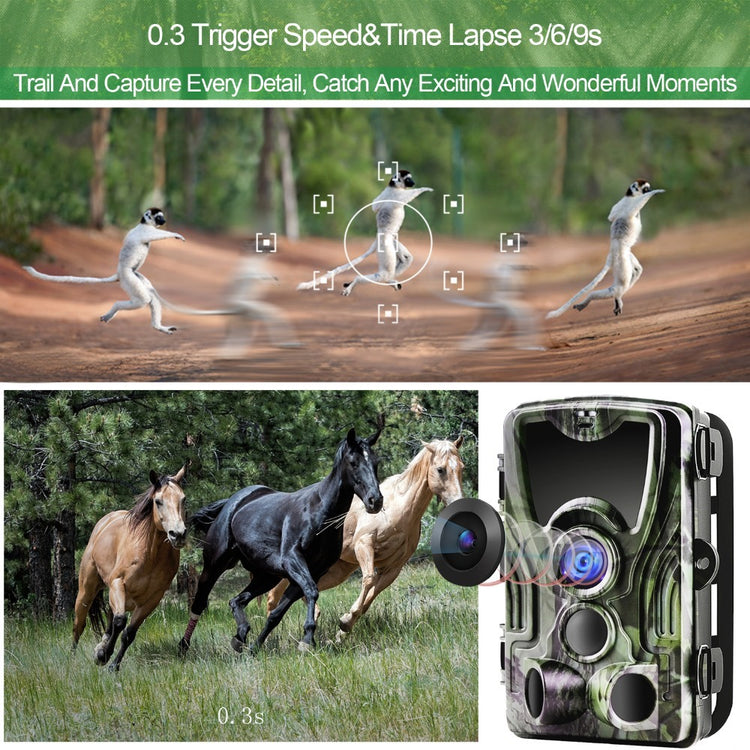 a collage of a camera and a picture of horses