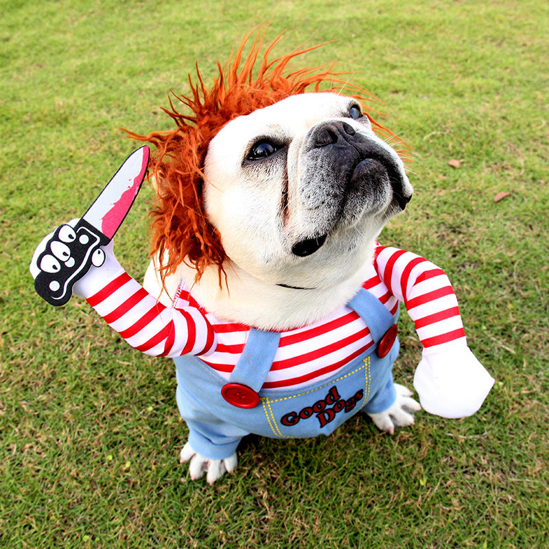 a dog in a garment