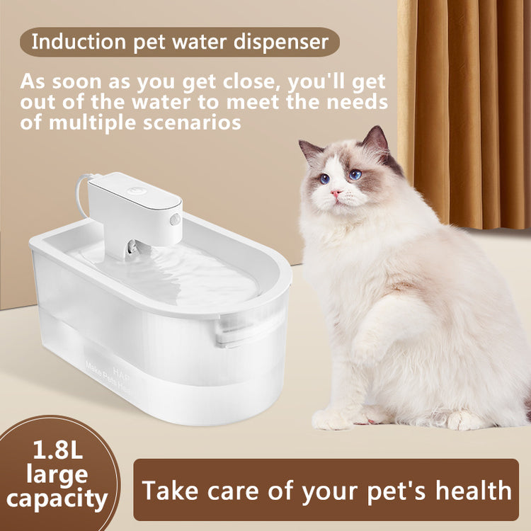 a cat sitting next to a water fountain