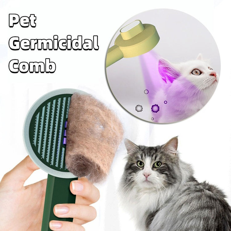 a cat with a comb
