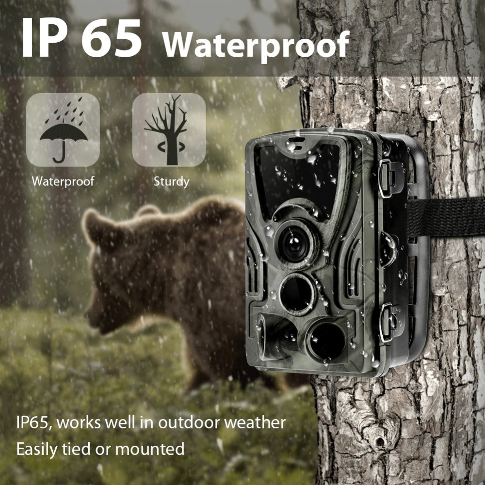 a camera attached to a tree