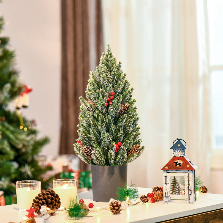 a small tree on a table