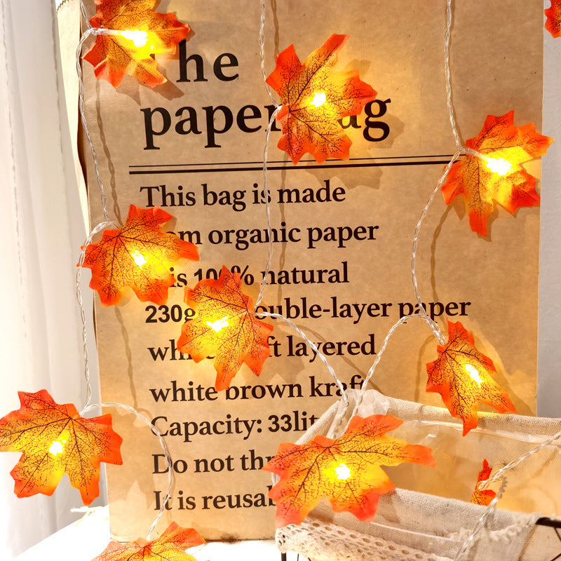 a paper with a string of lights and leaves