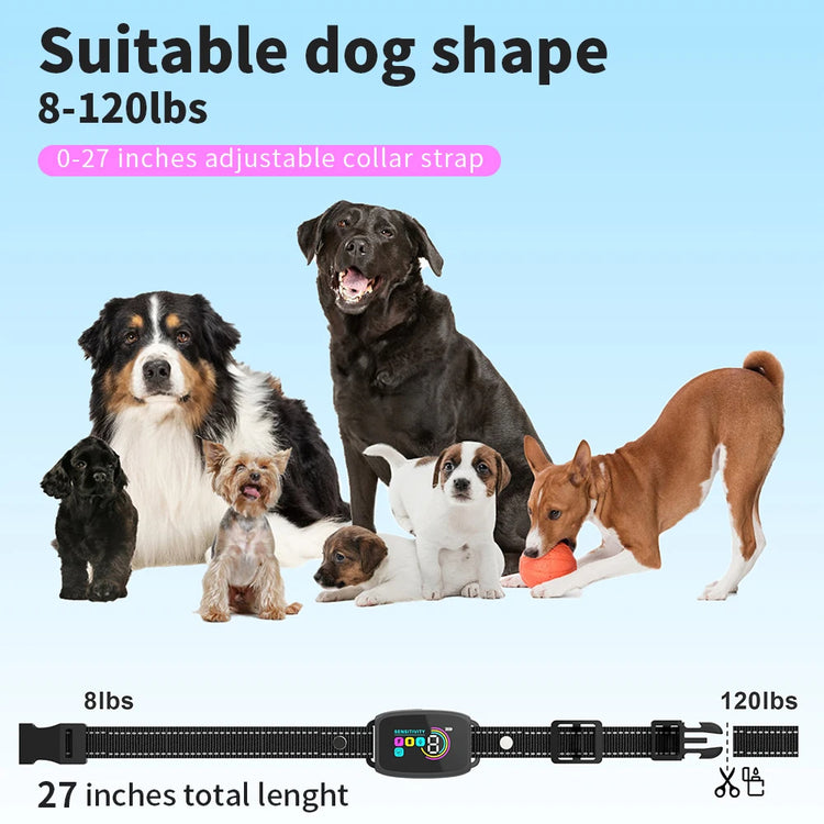 a group of dogs with a dog toy