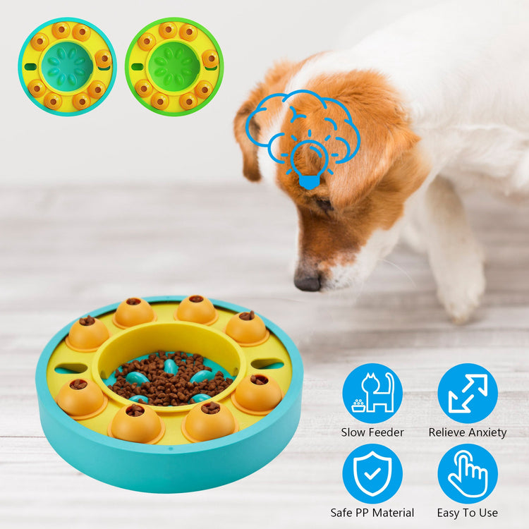 a dog looking at a bowl of food