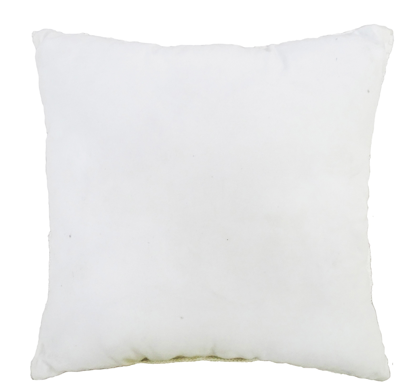 Decorative 18"x18" Outdoor Pillow for couch  (White)