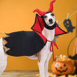Halloween Vampire Cloak and Hat for Pets