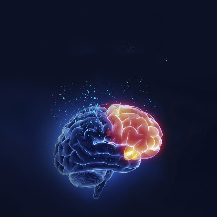 a brain with a glowing brain