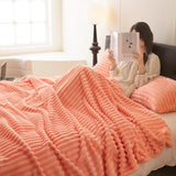 Anti-Static Plush Velvet Blanket