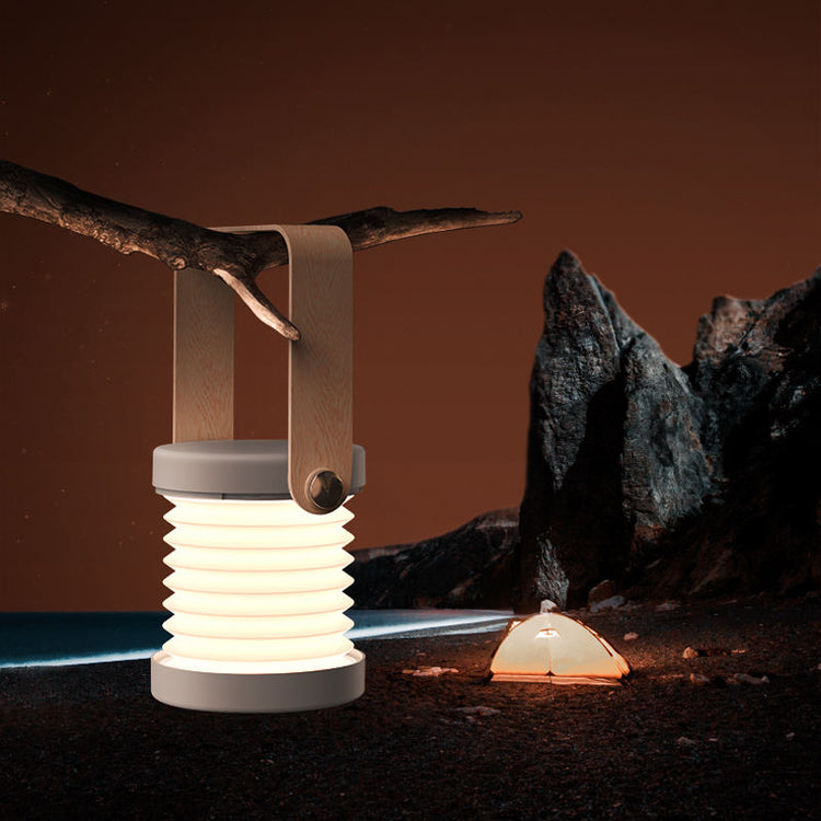 a lamp from a branch