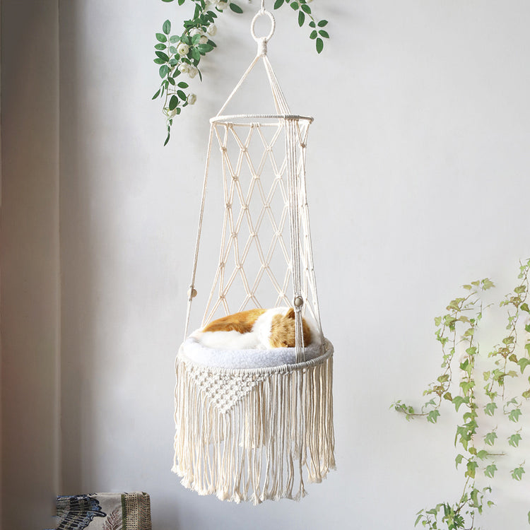 a cat lying in a basket