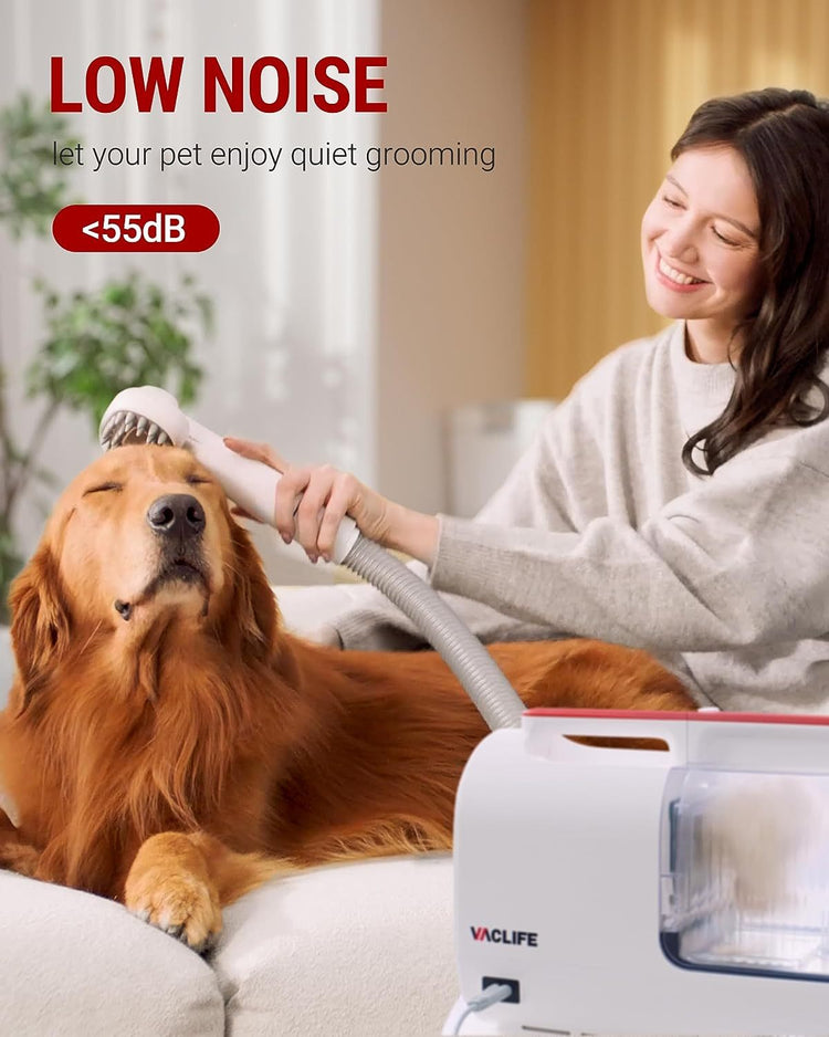 a woman brushing a dog