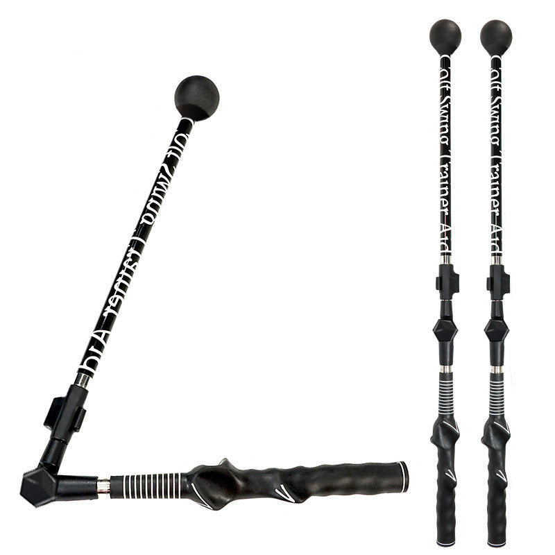 a close-up of a cane