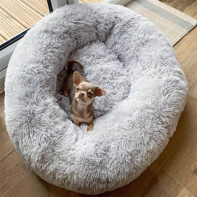 a dog lying in a dog bed