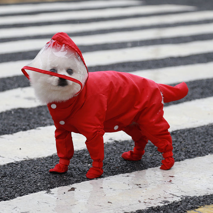 a dog wearing a red raincoat