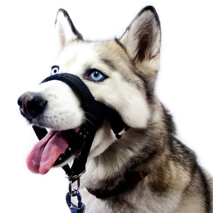 Adjustable Anti-Bite Mask Pet Traction Suit Mouth Cover