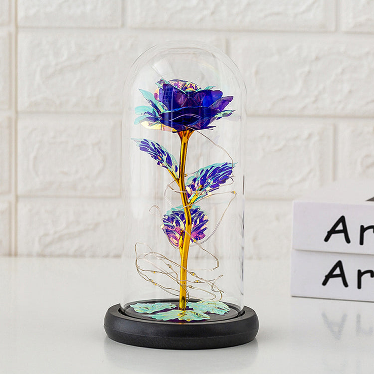 a rose in a glass dome