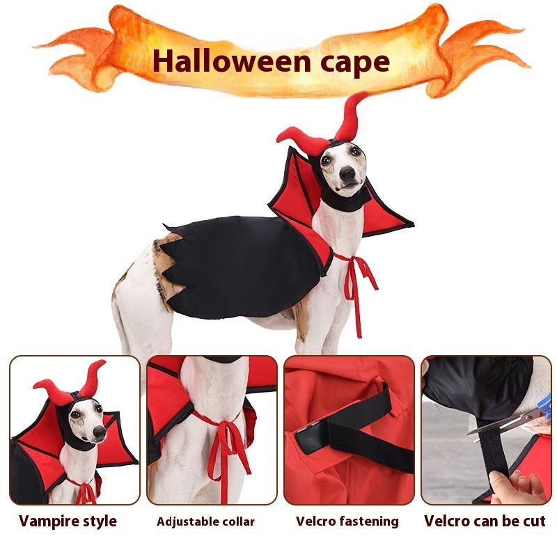 a dog wearing a garment