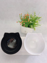 Elevated Double-Bowl Cat Feeding Station
