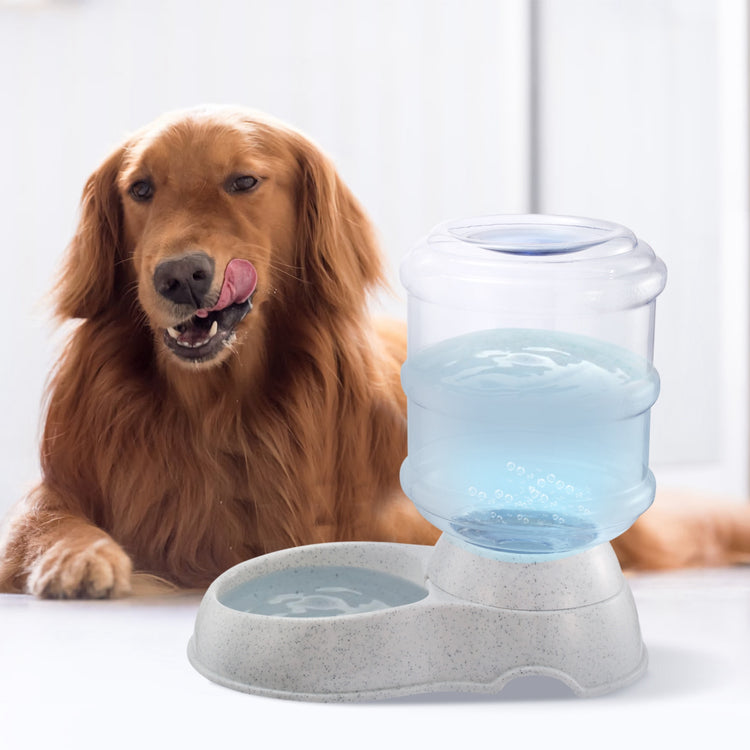 a dog licking its lips next to a water dispenser