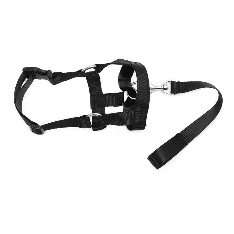 a black harness with a silver ring
