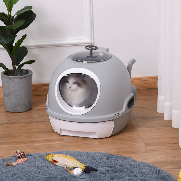 a cat in a cat litter box