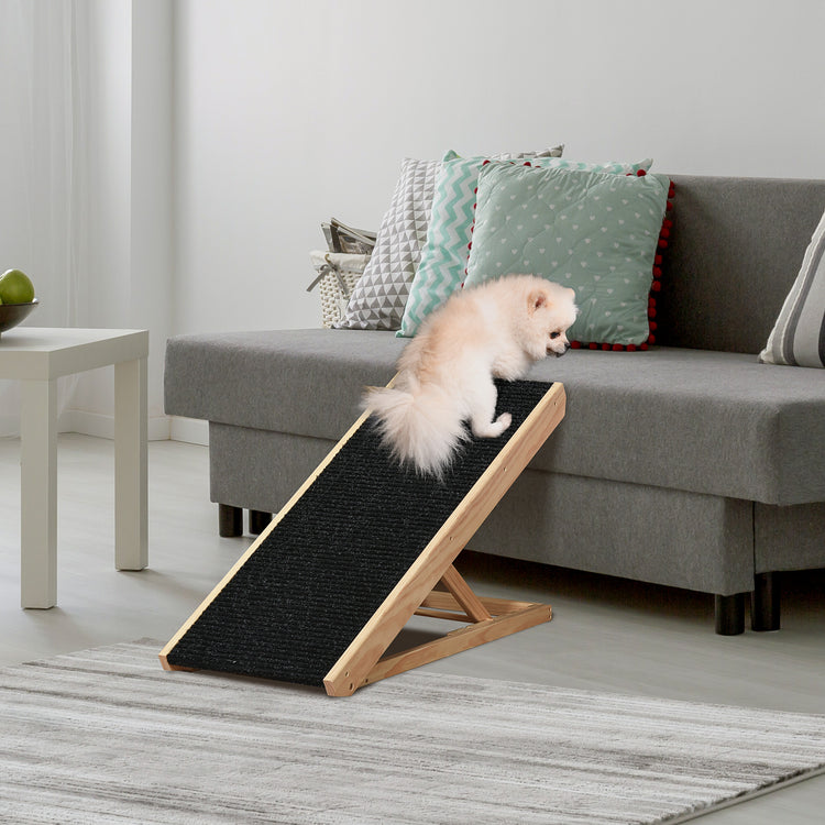 a small dog on a ramp