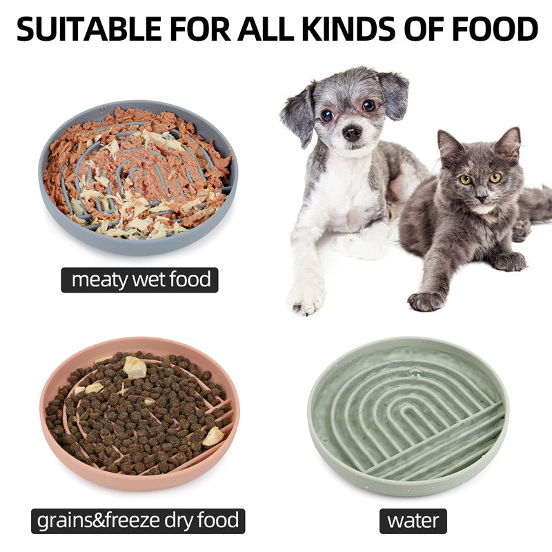 a cat and dog next to bowls of food