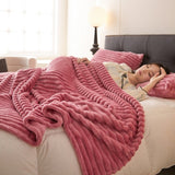 Anti-Static Plush Velvet Blanket