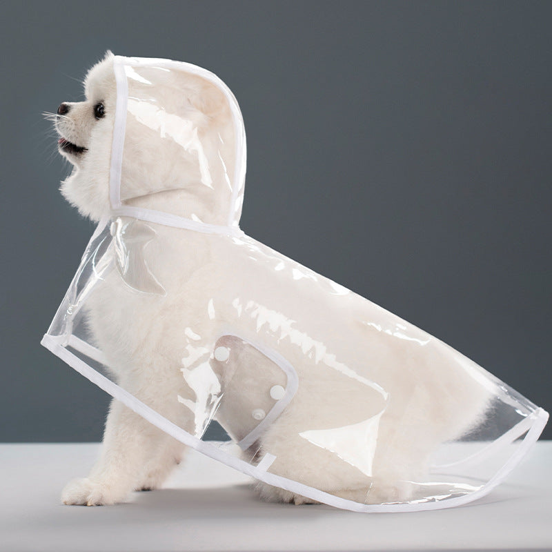 a dog wearing a clear raincoat