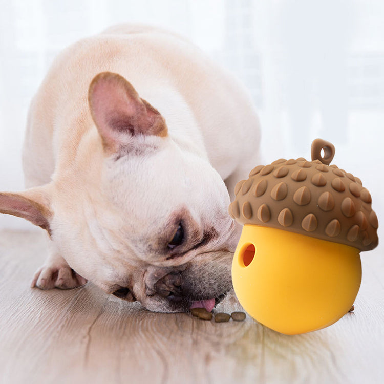 a dog licking a toy