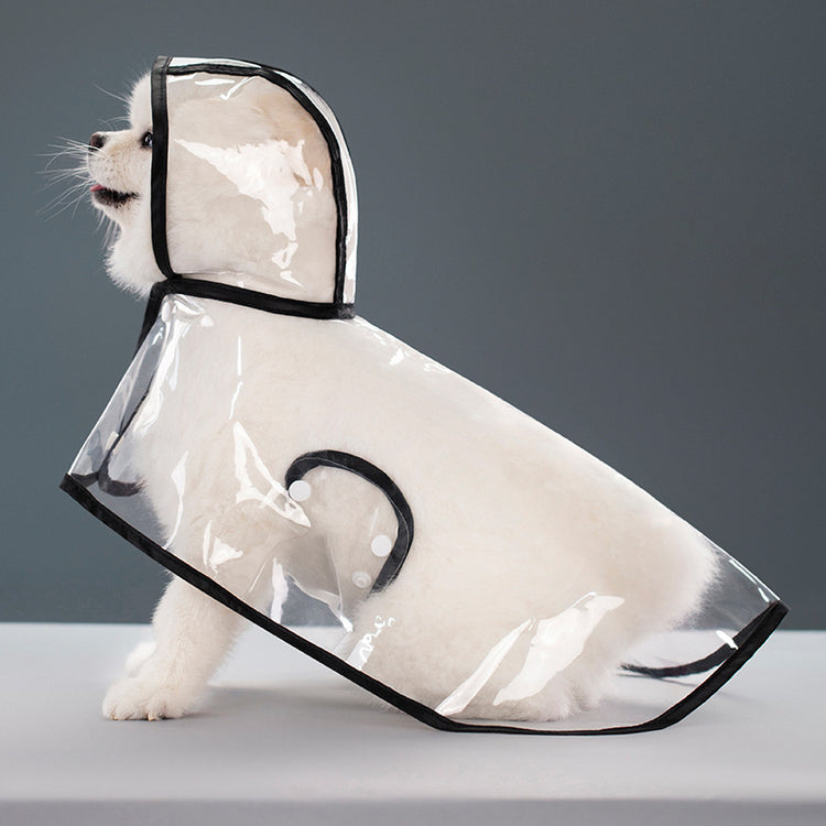 a dog wearing a clear raincoat