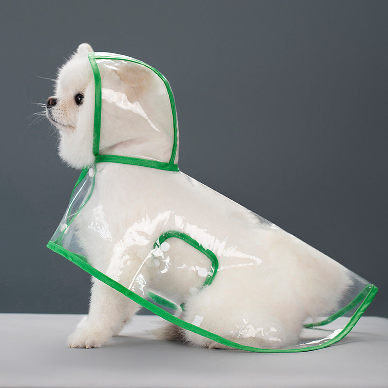 a small white dog wearing a clear raincoat