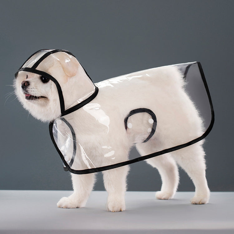 a dog wearing a clear raincoat