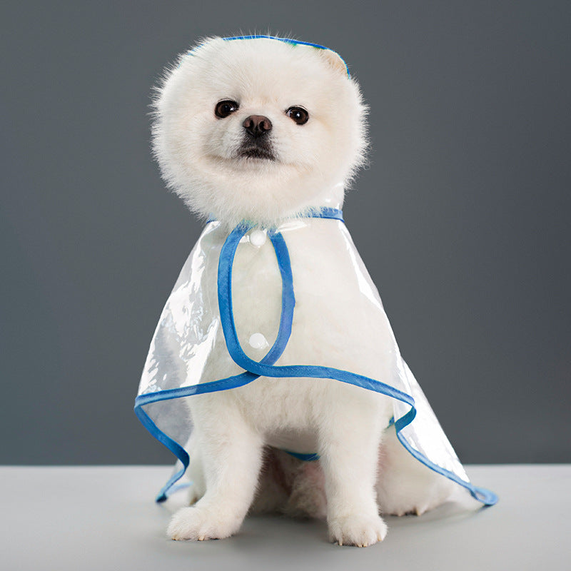 a dog wearing a raincoat