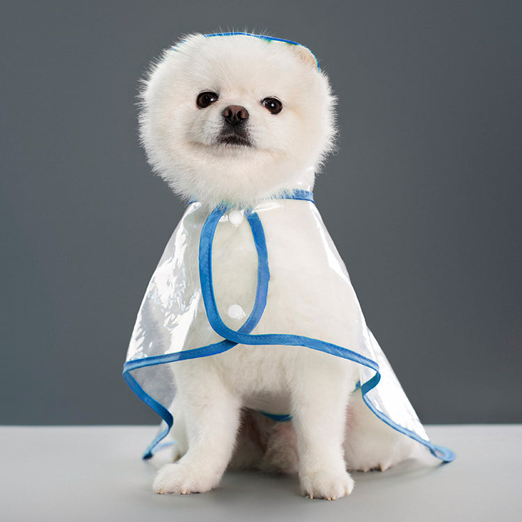 a dog wearing a raincoat
