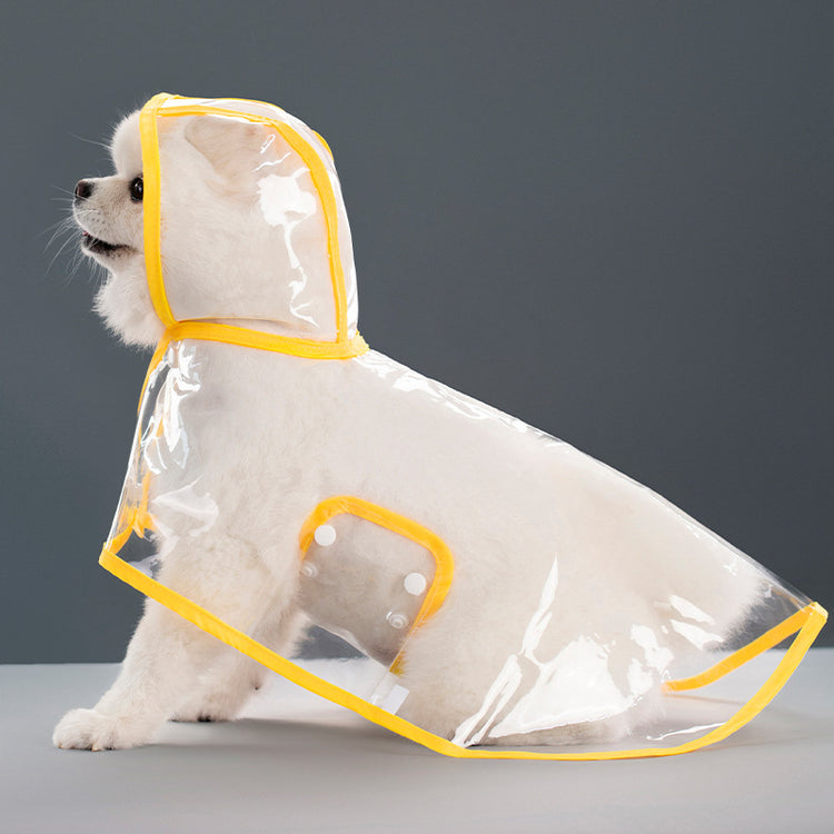 a dog wearing a clear raincoat