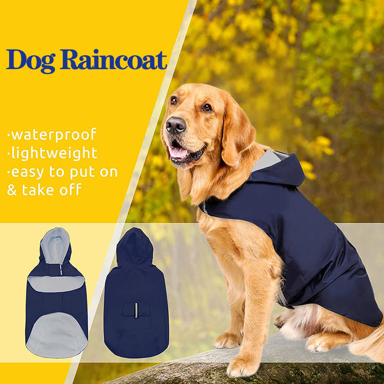 a dog wearing a raincoat