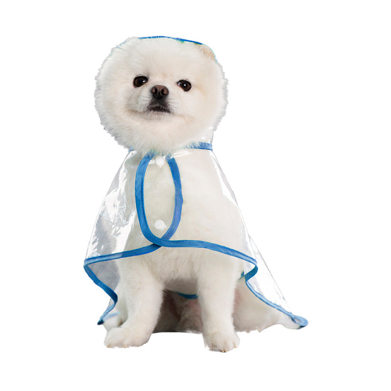 a dog wearing a raincoat
