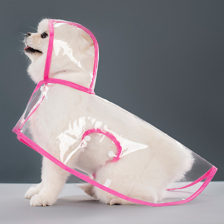 a dog wearing a raincoat