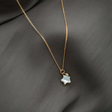 Sterling Silver Five-pointed Star White Lip Shell Necklace Plated