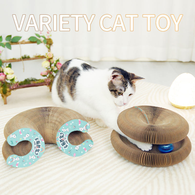 a cat playing with a toy