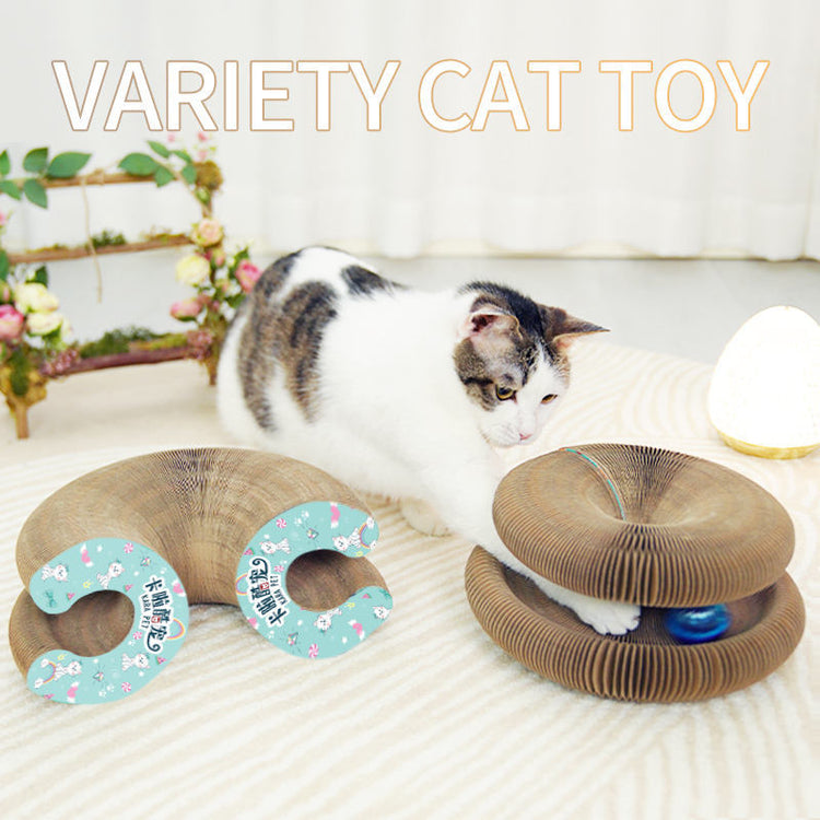 a cat playing with a toy