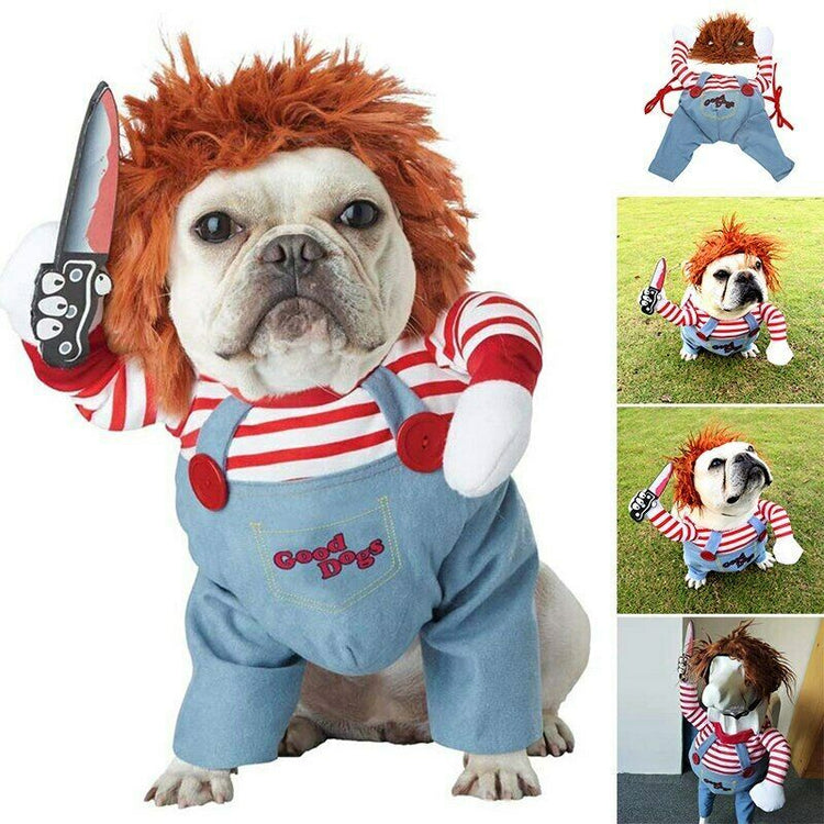 a dog in a garment