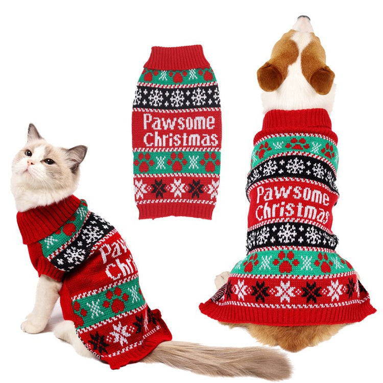 a cat and dog wearing sweaters