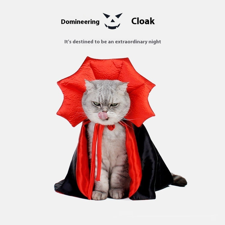 a cat wearing a cape