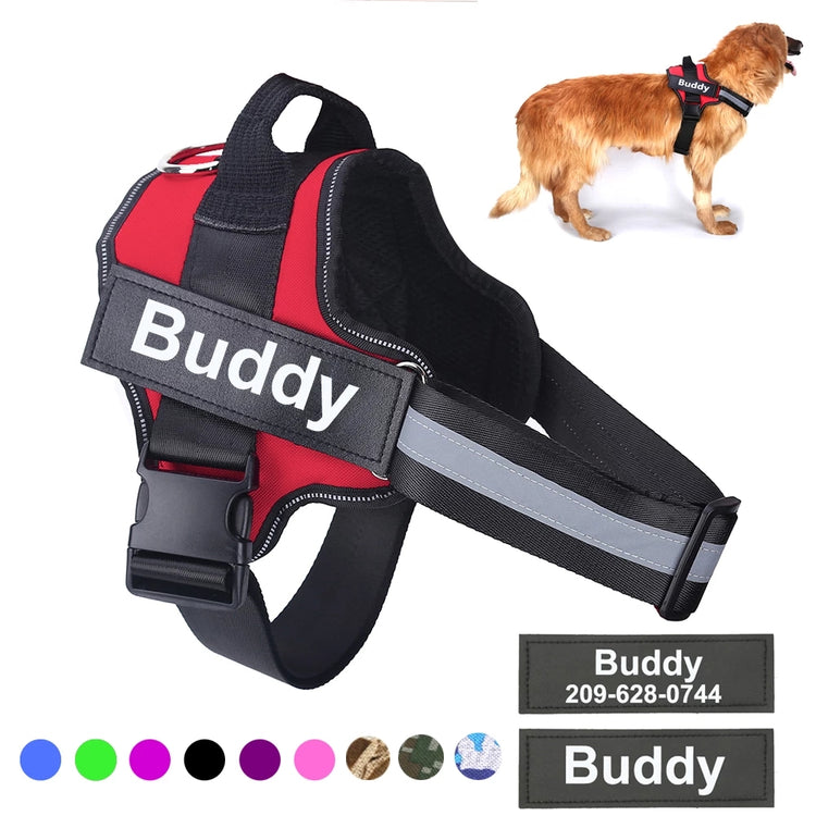 a dog wearing a harness