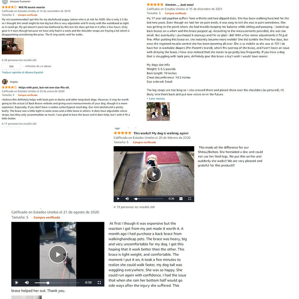 a screenshot of a computer